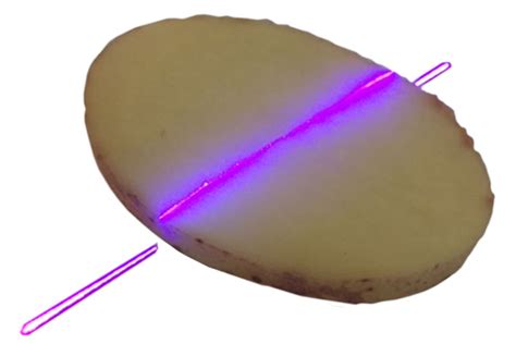 mico espsilonm thickness and volume measurement of potato slices|Thickness and volume measurement of potato slices .